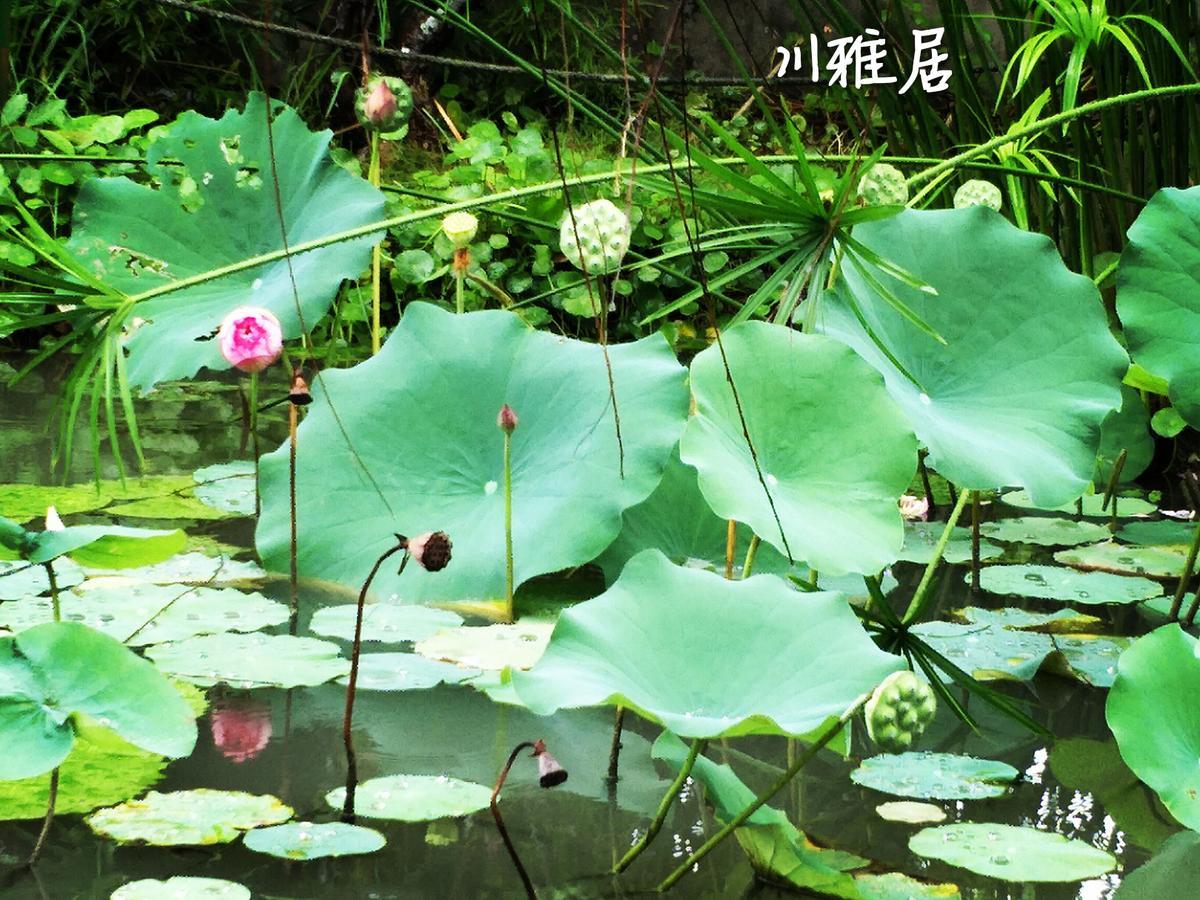 川雅居藝術空間民宿 Qishan 外观 照片